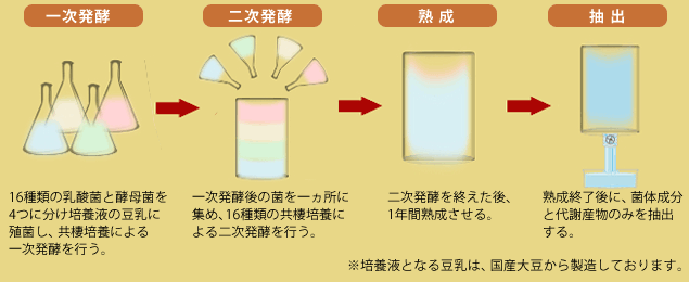 ビオネができるまで