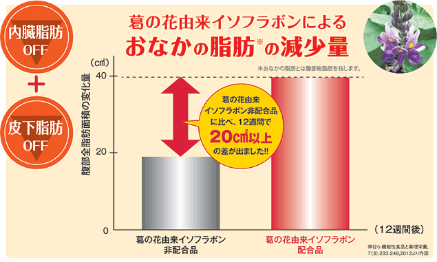 葛の花由来イソフラボン