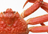 Water-Soluble Chitosan