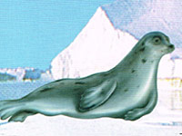 Seal 오일 (해표 유)란?