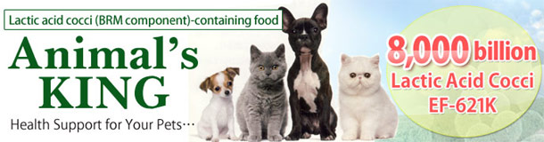 寵物用乳酸菌營養保健品「Animal's KING」