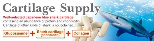 Cung cấp sụn(sụn vi cá mập)
