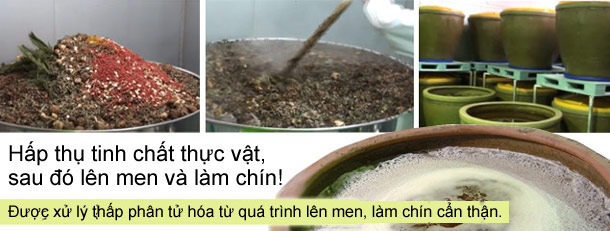 Những nguyên liệu đã tuyển chọn sẽ được lên men cẩn thận trong vòng hơn 1 năm.