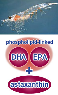 磷虾油