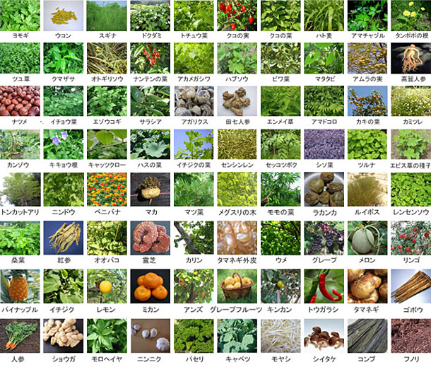 将80种野草・蔬菜・水果・菌类・海藻类与益生菌（米麴菌、乳酸菌、酵母菌）发酵而成的精华 4倍浓缩！