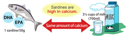 沙丁鱼提取缩氨酸