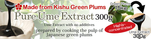 纯梅肉精华膏(300g)