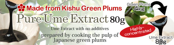 纯梅肉精华膏(80g)