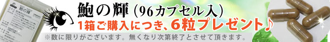 鮑の輝き、プレゼント
