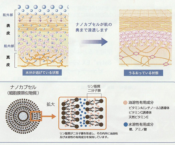 �T�e�B�XEX�@�r���[�e�B�[�G�b�Z���X