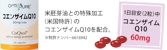 �R�G���U�C��Q10