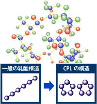 CPL（環状重合乳酸）商品一覧【特価で販売中】