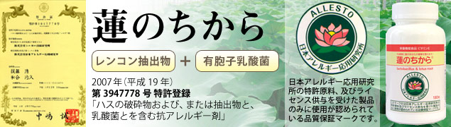 蓮のちから