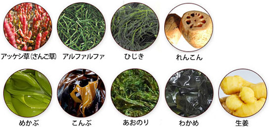 �u�C������v�V�R����100��