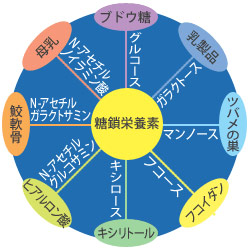 �����h�{�f