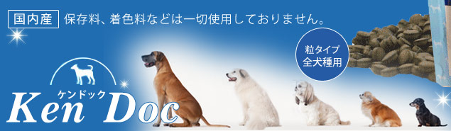 ���p�T�v�������g�uKenDoc(����)�v