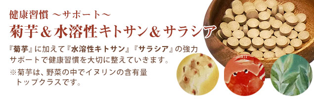 菊芋&水溶性キトサン&サラシア