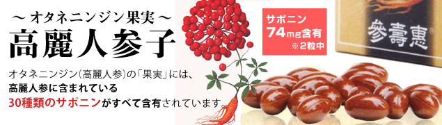 高麗人参子