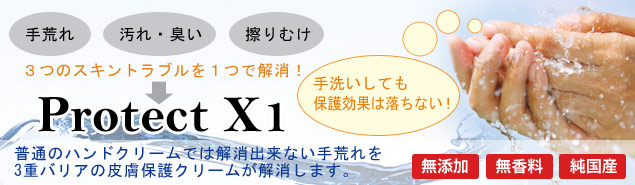 �畆�ی�N���[���u�v���e�N�gX1�v