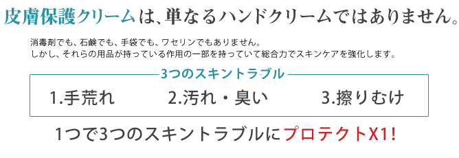 �畆�ی�N���[���u�v���e�N�gX1�v�̓���