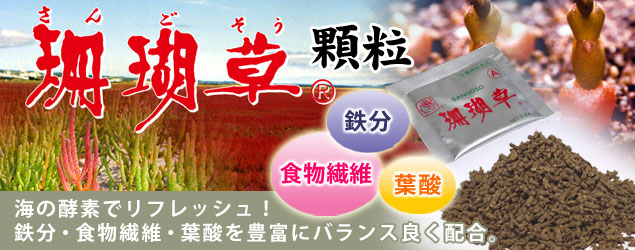 珊瑚草 顆粒