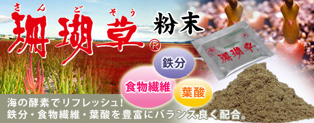 珊瑚草 粉末