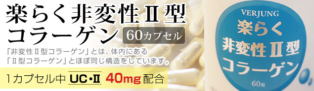 楽らく非変性U型コラーゲン(60カプセル)