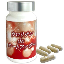 ウロリチンdeオートファジー