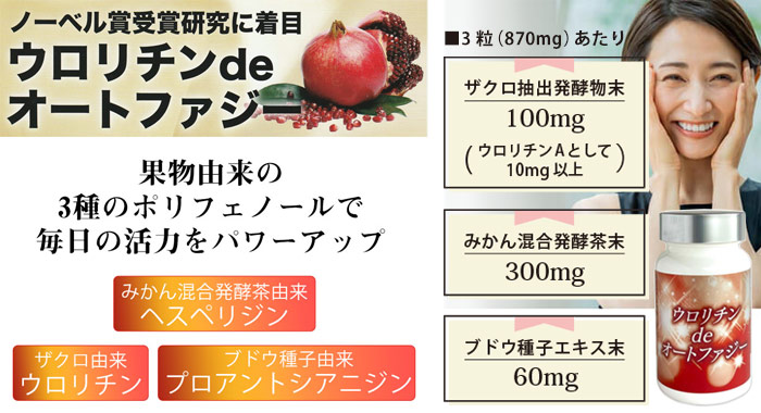 �E�����`��de�I�[�g�t�@�W�[