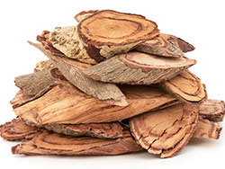 �R�^���q���u�c